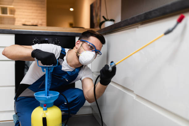 Best Exterminator Services  in Dixon, IL