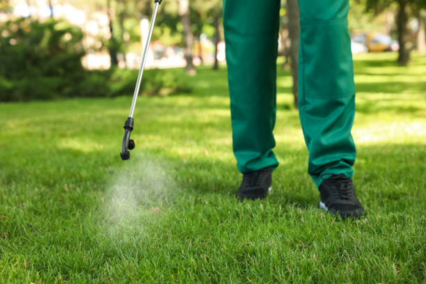 Best Residential Pest Control  in Dixon, IL