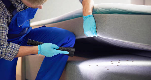 Best Commercial Pest Control Services  in Dixon, IL