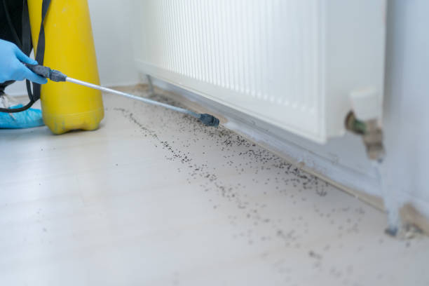 Dixon, IL Pest Control Company