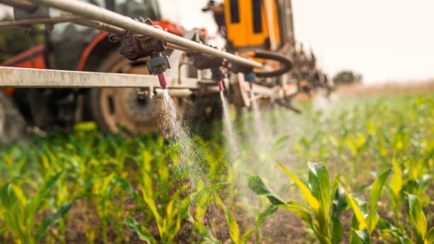 Best Pest Removal Services  in Dixon, IL